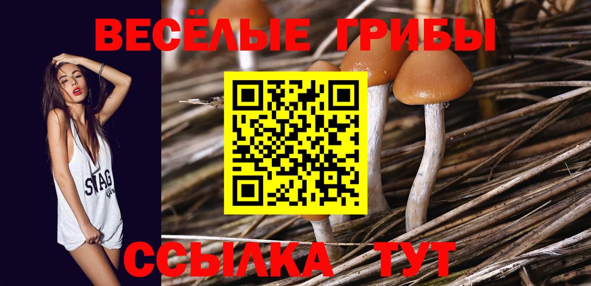 Галлюциногенные грибы мухоморы  Псилоцибиновые грибы мухоморы  Ступино  Вход с VPN 