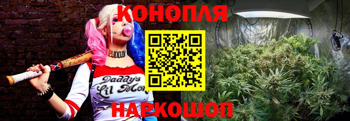 Марихуана семена  Шишки марихуана план  Каннабис сатива  Вход с VPN  Ступино 